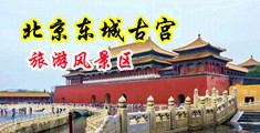 操日本大姑娘的骚逼眼视频中国北京-东城古宫旅游风景区
